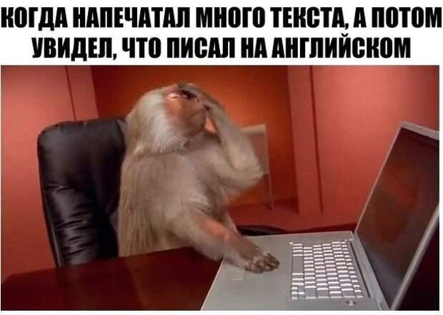 Пятничная подборка забавных картинок забавные картинки, прикол, юмор