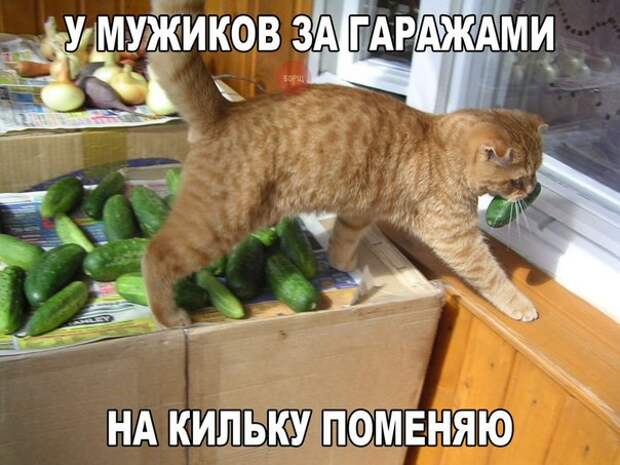 Подборка автоприколов - 53