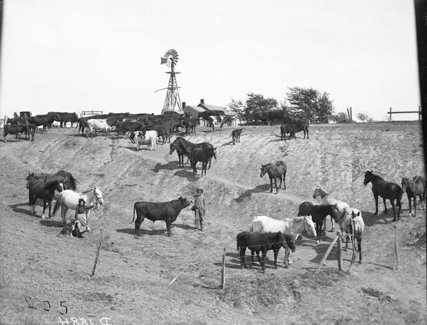 Как поднималась американская целина. Архивные фотографии пионеров Великих равнин конца 19-го века 9