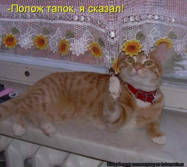 Мысли вслух :) №201114