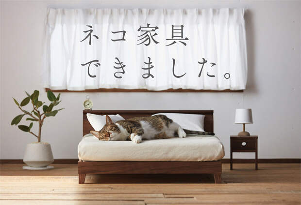 В Японии придумали миниатюрную мебель для кошек