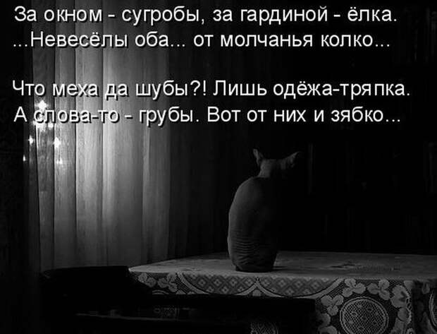 Лучшие котоматрицы недели Лучшие котоматрицы недели