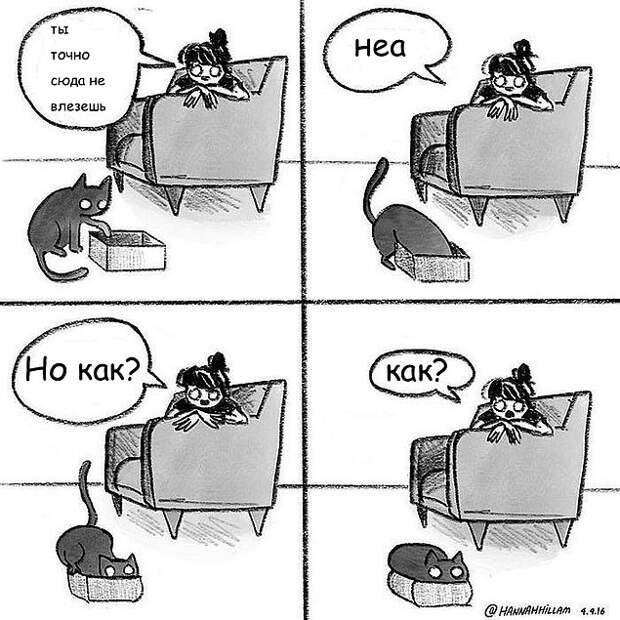 Проблемы жизни с котом в забавном комиксе (33 картинки)