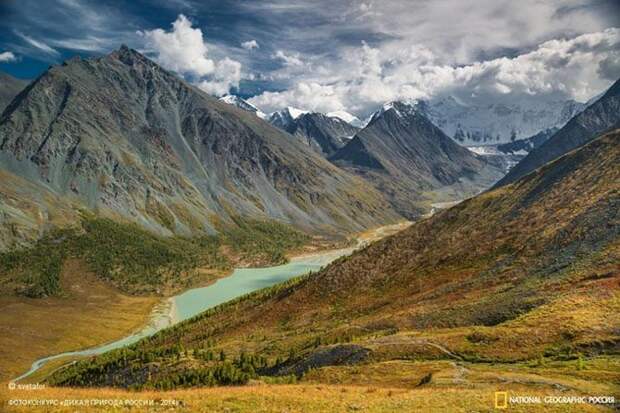 Лучшие фотографии дикой природы России