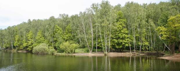 MG_3417.jpg