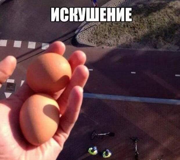 Все яйца в одном посте!