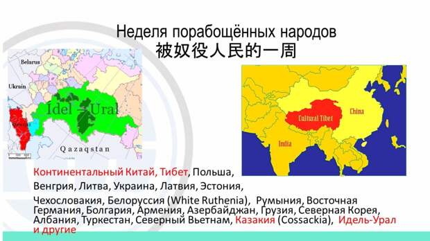 Обман – самое мощное и эффективное оружие паразитов