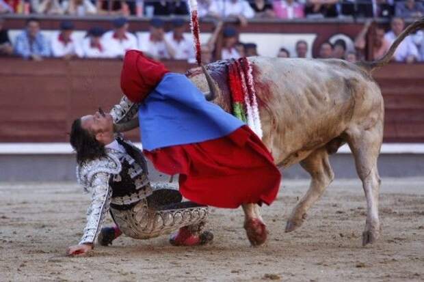15 Испанский матадор Хулио Апарисио был проткнут быком а в 2016 году бык в прямом эфире убил впервые за 30 лет знаменитости спорт спортсмены страшно фото