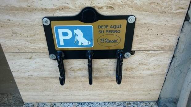 Перед входом в испанский магазин не забудьте припарковать свою собаку страны, факты, это интересно