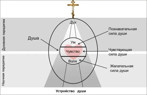 Дух душа тело схема