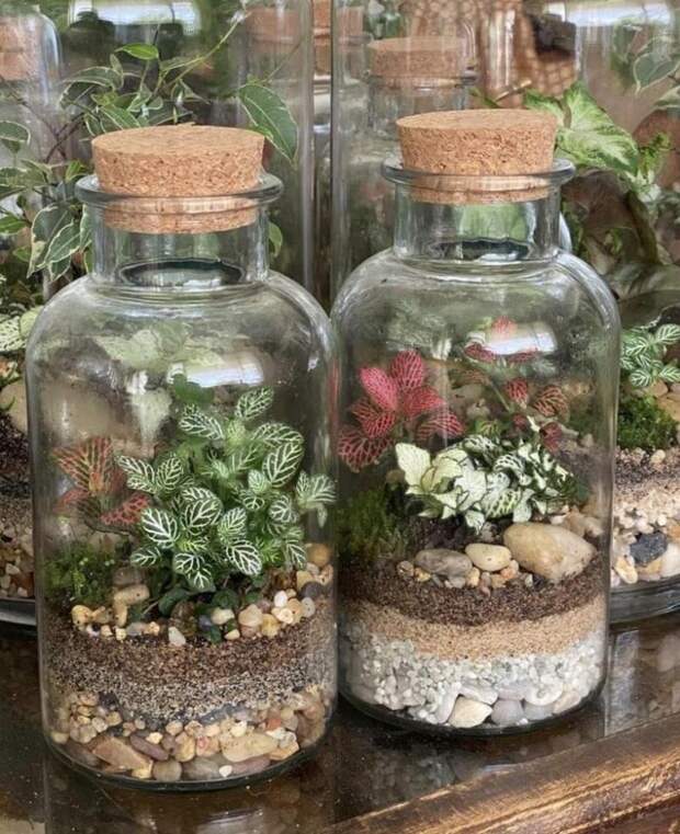 Идеи для долгих зимних вечеров