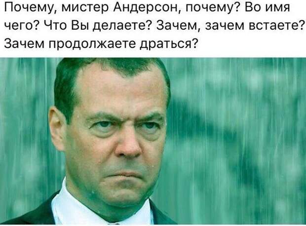 Смешные фото и забавные картинки с надписями со смыслом (11 фото) Смешные фото и забавные картинки с надписями со смыслом (11 фото)