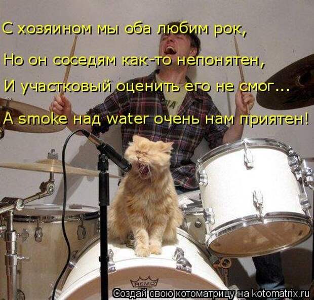Свежая котоматрица для всех (16 фото)