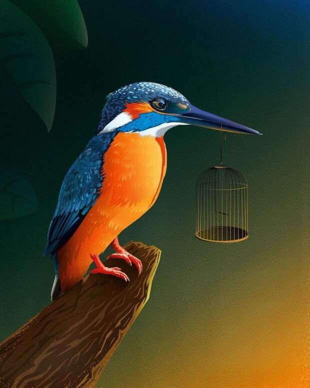Дилемма с клеткой. Автор: Jan Siemen.