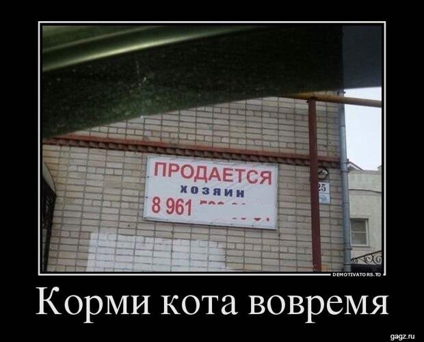 demotivators_funny_pics_gagz_ru_001183
