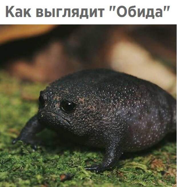 2V-PjfmTcEM.jpg