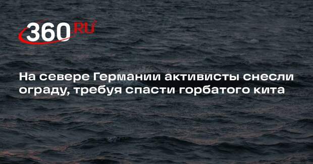 Bild: активисты прорвались сквозь ограду к застрявшему у берегов ФРГ горбатому