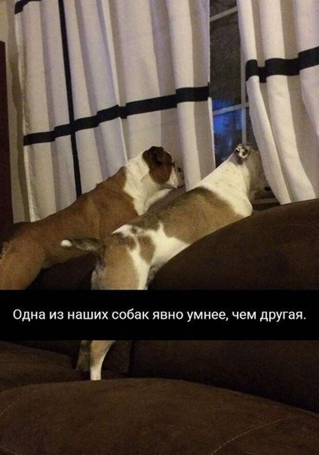 Прикольные фотомемы (28 шт)