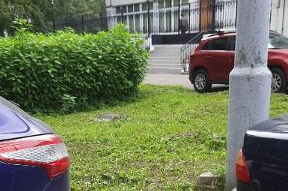 Коммунальщики подстригли газон во дворе дома на Новгородской