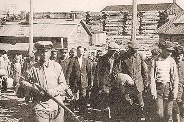 Амнистия 1955 года: почему в СССР на свободе оказались сотни военных  преступников - Русская семерка