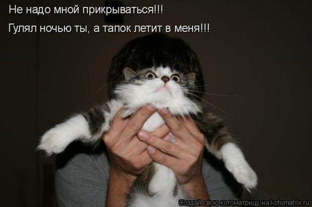 Мысли вслух :)