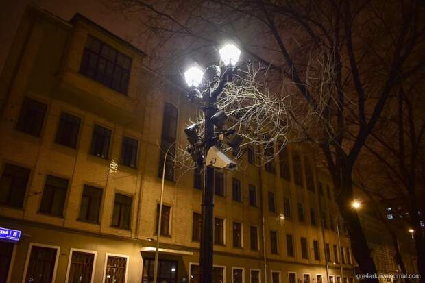 Огни большого города путешествия, факты, фото