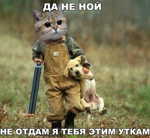 Забавные и веселые картинки с надписями для хорошего настроения (12 фото) Забавные и веселые картинки с надписями для хорошего настроения (12 фото)