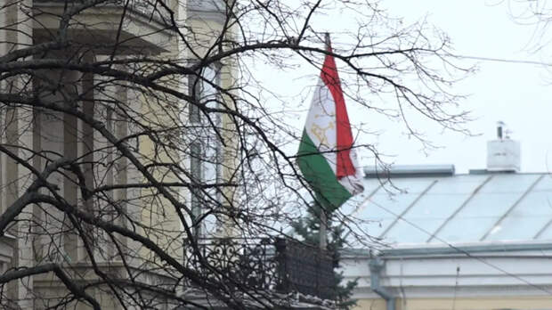 Честный враг лучше: депутат раскритиковал молчание Таджикистана в годовщину "Крокуса"