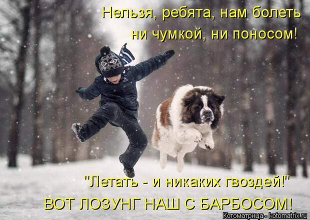 Котоматрицы