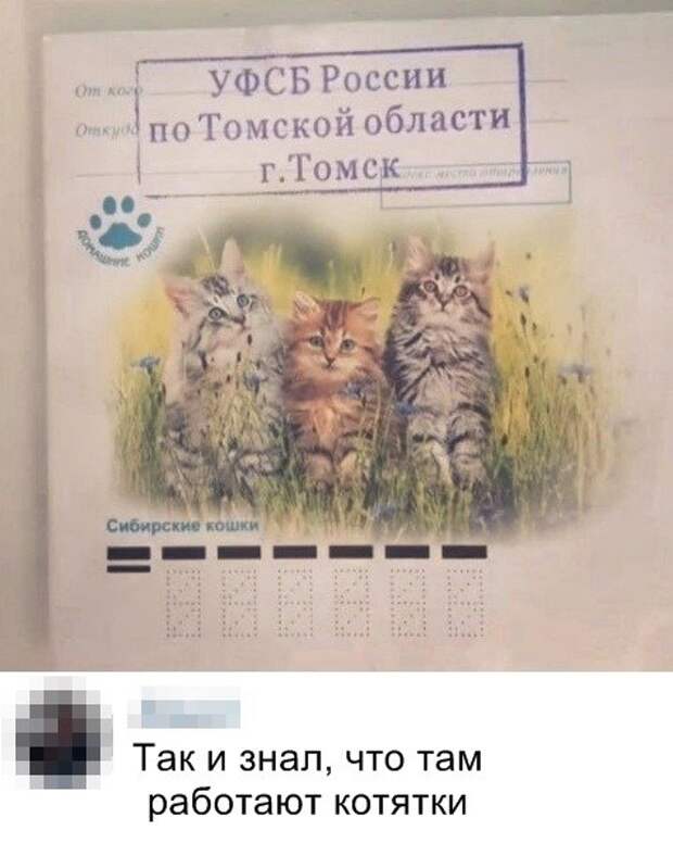 Всякости из ваших энторнетов