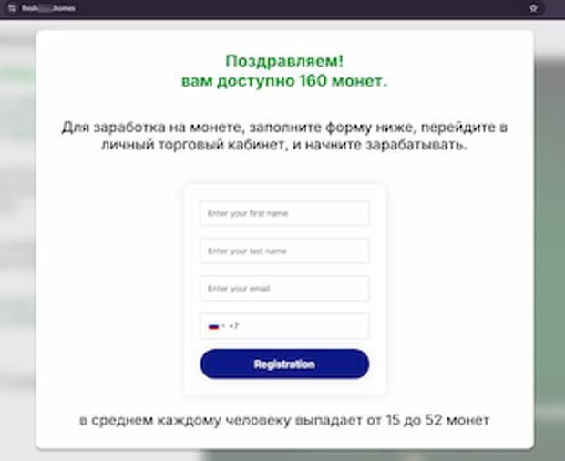 Net Fraud
