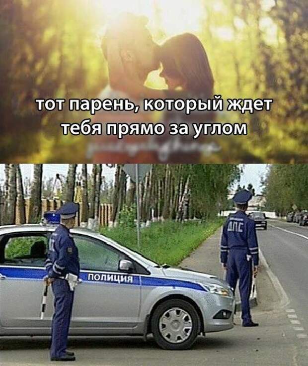 Забавные картинки и фото приколы для хорошего настроения (11 фото) Забавные картинки и фото приколы для хорошего настроения (11 фото)