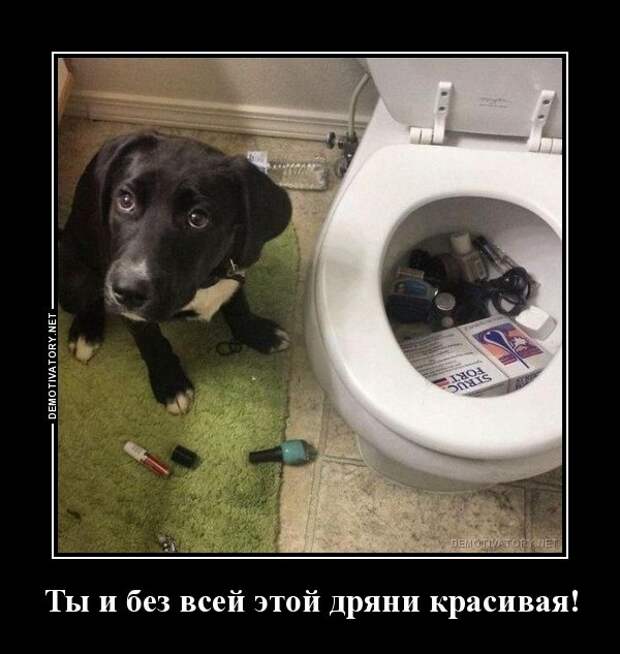 Пятничные демотиваторы для хорошего настроения (12 фото) Пятничные демотиваторы для хорошего настроения (12 фото)