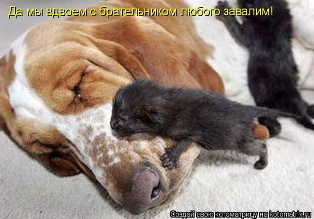 Мысли вслух :)
