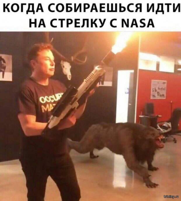 Подборка картинок (20 фото)