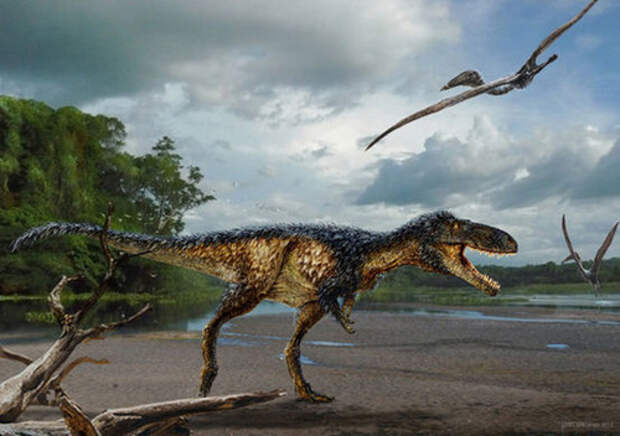 Timurlengia euotica - тираннозавр, размером с лошадь. биология, живая природа, мутант, наука, неопознанное существо