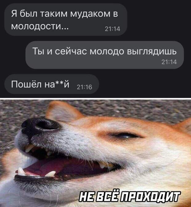 Смешные картинки 11 января 2022 года