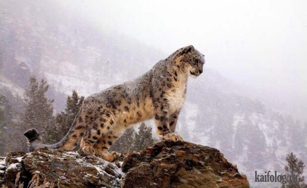 Реальная красота (60 фото)