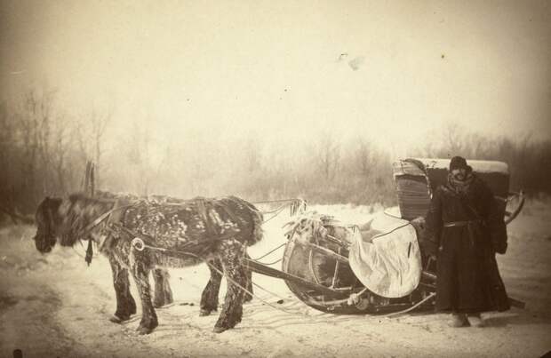 Лица Российской Империи 1870-1886 годов