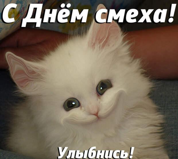 Похожее изображение