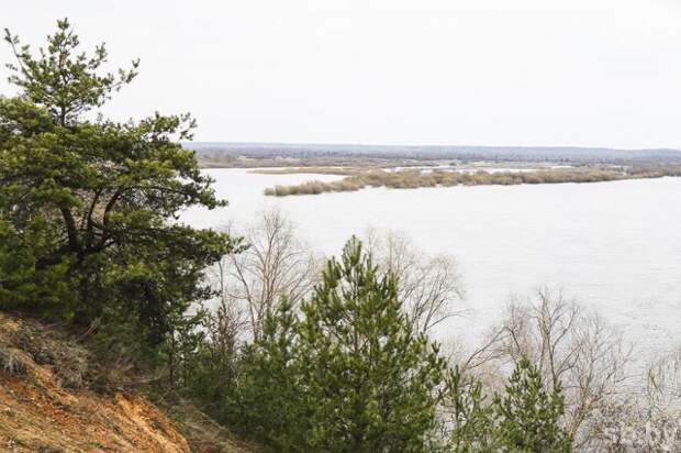 В Белгидромете рассказали, на каких реках наблюдается рост уровней воды.