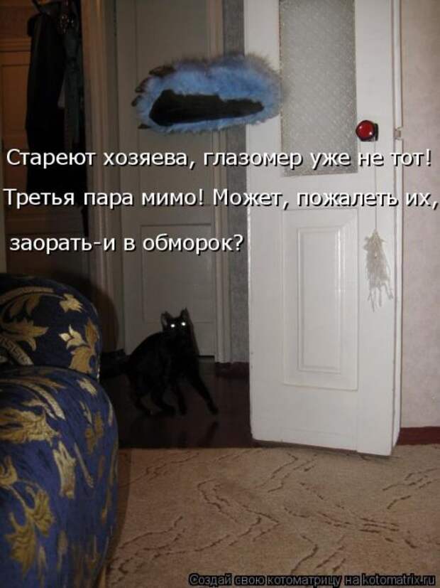Котоматрица на Бугаге (33 фото)