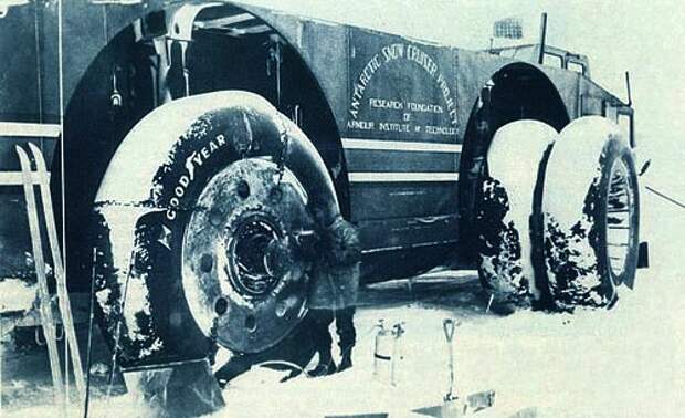 Snow Cruisers