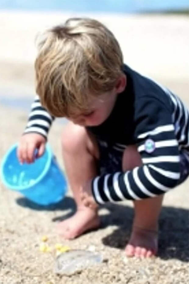 На пляже и огороде: принц Уильям поделился новыми снимками детей из семейного архива