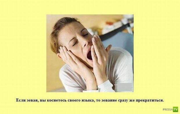 Прикольные факты о которых вы не знали