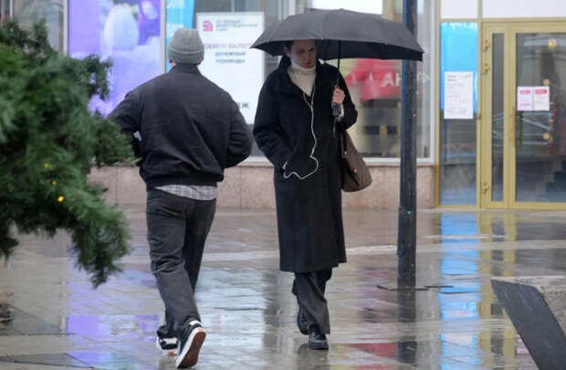 Синоптик Позднякова предупредила о дожде и холоде в Вербное воскресенье