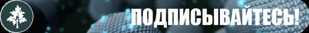 У верблюдов действительно есть вода в горбах?