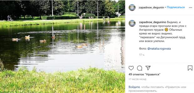 Фото дня: огари на Ангарском пруду