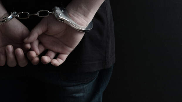 Экс-редактор федерального СМИ арестована за призывы к терроризму