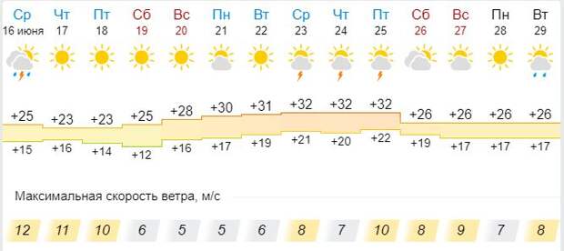 В Тамбовскую область придёт аномальная жара